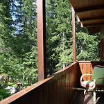 Chalet dei Pini